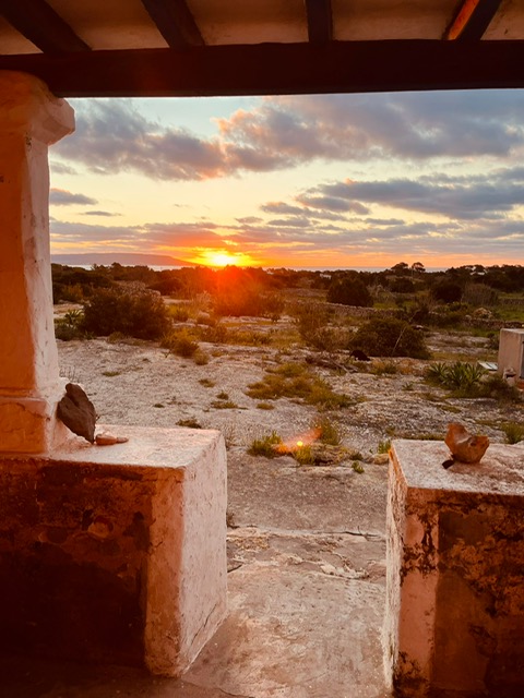 Sonnenuntergang über der Landschaft als Sinnbild für den Seelenplan
